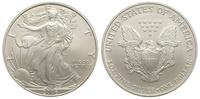 1 dolar 2006, Filadelfia, srebro 31.29 g, stempe