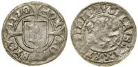 Pomorze, witten, 1520