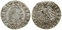 Prusy Książęce (1525–1657), grosz, 1546