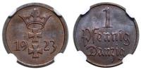 Polska, 1 fenig, 1923