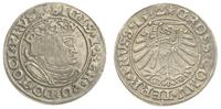 1 grosz 1532, Toruń