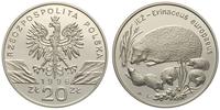20 złotych 1996, Jeż, moneta czyszczona, w kapsl