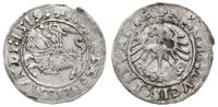 Polska, półgrosz litewski, 1519