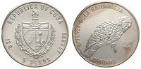 5 pesos 1985, kubańska papuga Ara, srebro "999" 