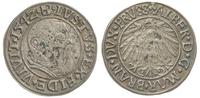 grosz 1542, Królewiec, Bahr. 1182, Vossberg 1375