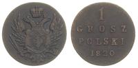 1 grosz 1820/I-B, Warszawa, Plage 207