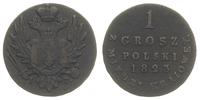 1 grosz 1823/I-B, Warszawa, Plage 212