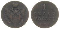 1 grosz 1832/K-G, Warszawa, Plage 230