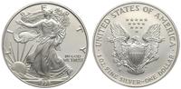 1 dolar 1998, Filadelfia, srebro 31.29 g, stempe