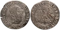 grosz 1542, rzadszy typ monety, Friedensburg-Seg