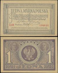 1 marka polska 17.05.1919, seria IAM, Miłczak 19