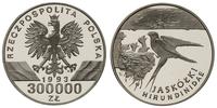 300000 złotych 1993, Warszawa, Jaskółki , srebro