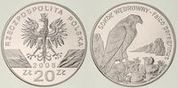 20 złotych 2008, Warszawa, Sokół Wędrowny, monet