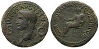 dupondius 37-41, Rzym, Aw: Głowa Augusta w lewo 