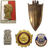 zestaw 5 odznak, Odznaka Grunwaldzka, Wzorowy Żo