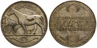 Medal nagrodowy Za chodowlę koni 1923, sygnowany