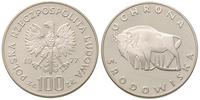 100 złotych 1977, Ochrona Środowiska - Żubr, sre