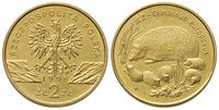 2 złote 1996, Jeż, Nordic Gold, Parchimowicz 733