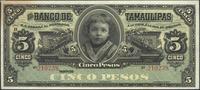 5 pesos (1903), seria H, plama, ale bardzo ładni