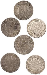 3 x grosz 1532, 1540 i 1544, Królewiec, razem 3 