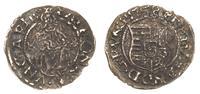 denar 1558, Kremnica, patyna