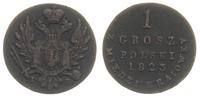 1 grosz z miedzi krajowej 1823 I-B, Warszawa, Pl