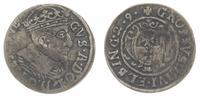 grosz okupacyjny 1629, Elbląg, moneta z tytulatu