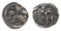 denar koniec XIV w, Aw: Lilia z dwiema kulkami p