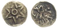 denar  II połowa XV w, Aw: Szeroka sześcioramien