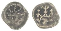 denar XIV w, Aw: Gryf kroczący w lewo, Rw: Trójw