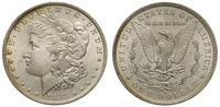 1 dolar 1883/O, Nowy Orlean, pięknie zachowany