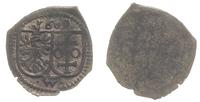 denar jednostronny 1609, Wschowa, bardzo rzadki,