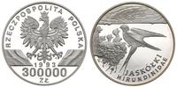 300000 złotych 1993, Jaskółki, moneta w pięknym 