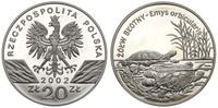 20 złotych 2002, Żółw Błotny, moneta w idealnym 