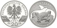 20 złotych 2007, Foka Szara, moneta w idealnym s