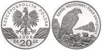 20 złotych 2008, Sokół Wędrowny, moneta w idealn