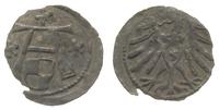 denar, Królewiec, Kop.3751, R3