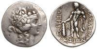 tetradrachma 146-50 pne, Aw: Głowa Dionizosa w p