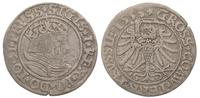 grosz 1533, Toruń, drobna wada blachy