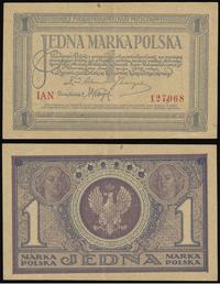 1 marka polska 17.05.1919, seria IAN, przełamane