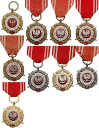 medal Siły Zbrojne w Służbie Ojczyzny, po XX lat
