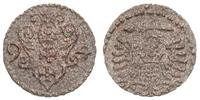 denar 1594, Gdańsk, T.1