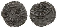 denar 1555, Gdańsk, Tyszkiewicz 8
