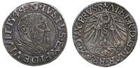 grosz 1544, Królewiec, PRVSS, Bahrf. 1193