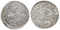 półgrosz litewski 1561, Wilno, L/LITV, srebro 1.