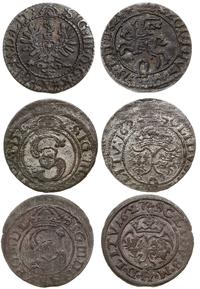 zestaw szelągów 1623, 1624 i 1627, Wilno, razem 