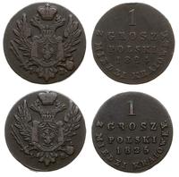 zestaw 1 groszówek z miedzi krajowej 1824 i 1825