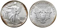 1 dolar 1987, Filadelfia, 1 uncja srebra