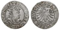 grosz 1531, Toruń, moneta poprzycierana, ale wid