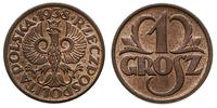1 grosz 1938, Warszawa, piękny, Parchimowicz 101